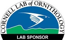 Cornell Lab 