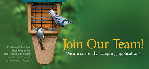 Join Our Team